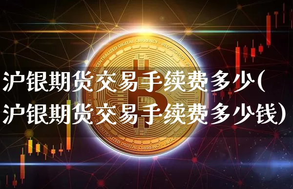 沪银期货交易手续费多少(沪银期货交易手续费多少钱)_https://www.qgjzrcxxzxpt.com_大商所_第1张