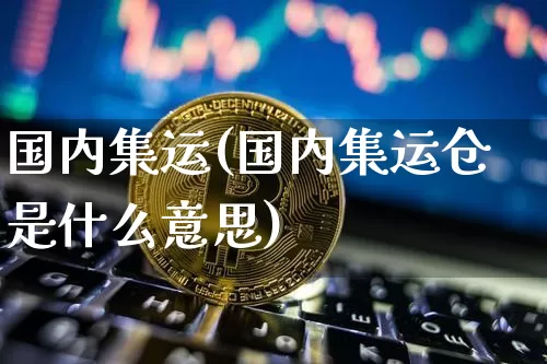 国内集运(国内集运仓是什么意思)_https://www.qgjzrcxxzxpt.com_大商所_第1张