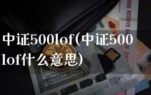 中证500lof(中证500lof什么意思)_https://www.qgjzrcxxzxpt.com_郑商所_第1张