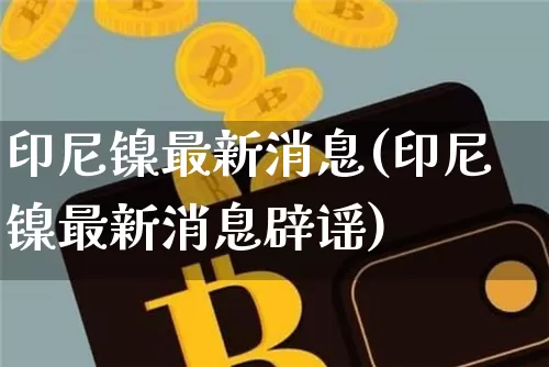 印尼镍最新消息(印尼镍最新消息辟谣)_https://www.qgjzrcxxzxpt.com_广期所_第1张