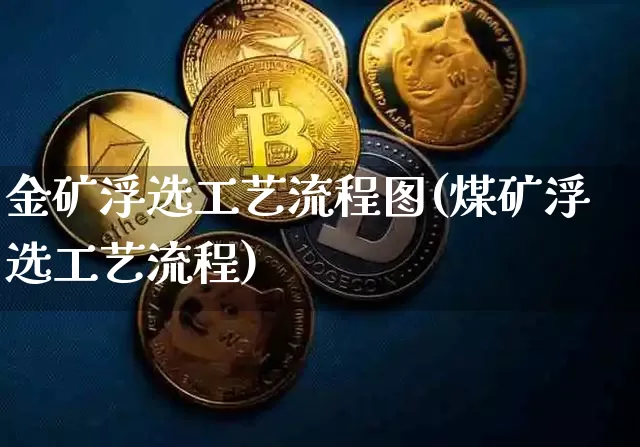 金矿浮选工艺流程图(煤矿浮选工艺流程)_https://www.qgjzrcxxzxpt.com_郑商所_第1张