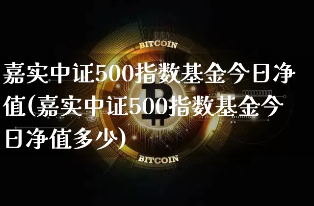 嘉实中证500指数基金今日净值(嘉实中证500指数基金今日净值多少)_https://www.qgjzrcxxzxpt.com_上期所_第1张