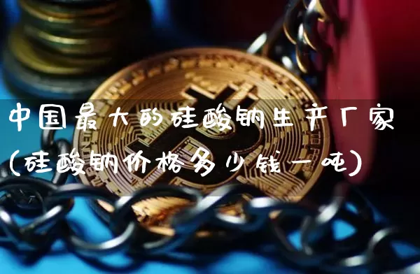 中国最大的硅酸钠生产厂家(硅酸钠价格多少钱一吨)_https://www.qgjzrcxxzxpt.com_上期所_第1张