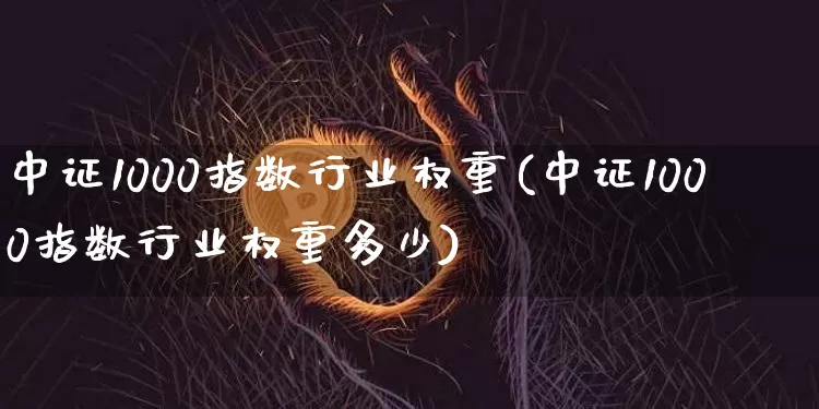 中证1000指数行业权重(中证1000指数行业权重多少)_https://www.qgjzrcxxzxpt.com_郑商所_第1张