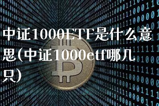 中证1000ETF是什么意思(中证1000etf哪几只)_https://www.qgjzrcxxzxpt.com_上期所_第1张