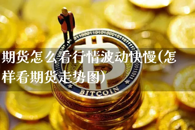 期货怎么看行情波动快慢(怎样看期货走势图)_https://www.qgjzrcxxzxpt.com_中金所_第1张