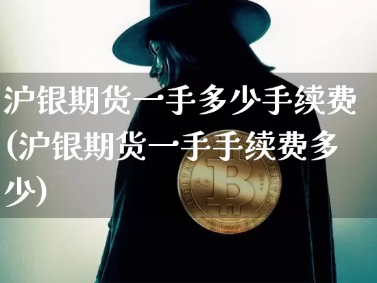 沪银期货一手多少手续费(沪银期货一手手续费多少)_https://www.qgjzrcxxzxpt.com_大商所_第1张