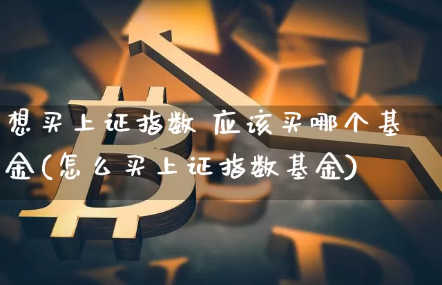 想买上证指数 应该买哪个基金(怎么买上证指数基金)_https://www.qgjzrcxxzxpt.com_中金所_第1张
