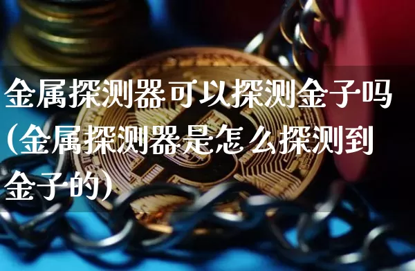 金属探测器可以探测金子吗(金属探测器是怎么探测到金子的)_https://www.qgjzrcxxzxpt.com_郑商所_第1张