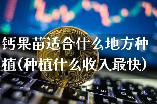钙果苗适合什么地方种植(种植什么收入最快)_https://www.qgjzrcxxzxpt.com_大商所_第1张