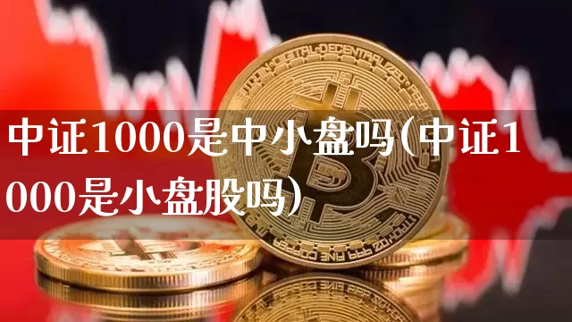 中证1000是中小盘吗(中证1000是小盘股吗)_https://www.qgjzrcxxzxpt.com_郑商所_第1张