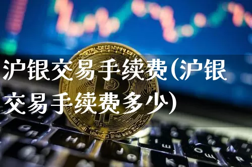 沪银交易手续费(沪银交易手续费多少)_https://www.qgjzrcxxzxpt.com_郑商所_第1张