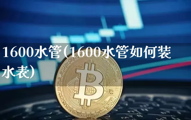 1600水管(1600水管如何装水表)_https://www.qgjzrcxxzxpt.com_郑商所_第1张