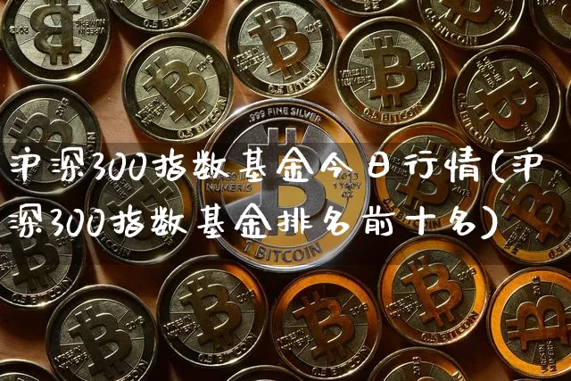 沪深300指数基金今日行情(沪深300指数基金排名前十名)_https://www.qgjzrcxxzxpt.com_广期所_第1张