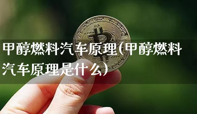 甲醇燃料汽车原理(甲醇燃料汽车原理是什么)_https://www.qgjzrcxxzxpt.com_上期所_第1张