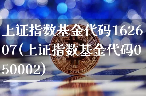 上证指数基金代码162607(上证指数基金代码050002)_https://www.qgjzrcxxzxpt.com_上期所_第1张