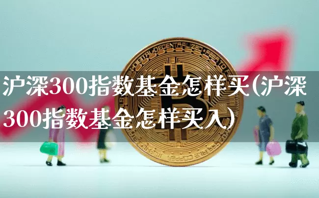 沪深300指数基金怎样买(沪深300指数基金怎样买入)_https://www.qgjzrcxxzxpt.com_上期所_第1张