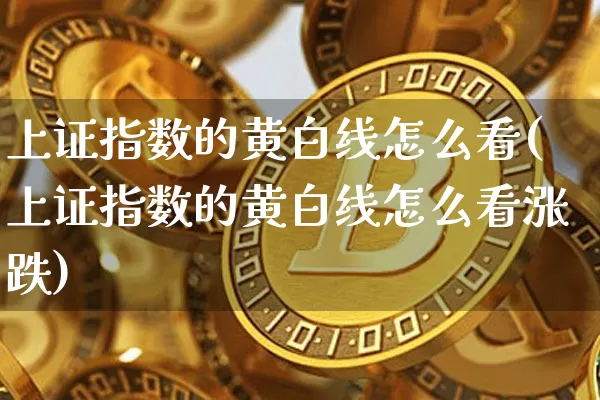 上证指数的黄白线怎么看(上证指数的黄白线怎么看涨跌)_https://www.qgjzrcxxzxpt.com_中金所_第1张