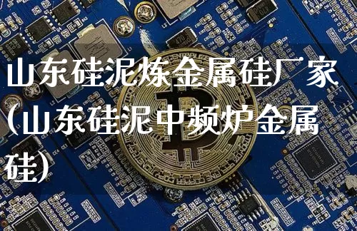 山东硅泥炼金属硅厂家(山东硅泥中频炉金属硅)_https://www.qgjzrcxxzxpt.com_上期所_第1张