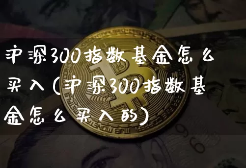 沪深300指数基金怎么买入(沪深300指数基金怎么买入的)_https://www.qgjzrcxxzxpt.com_大商所_第1张