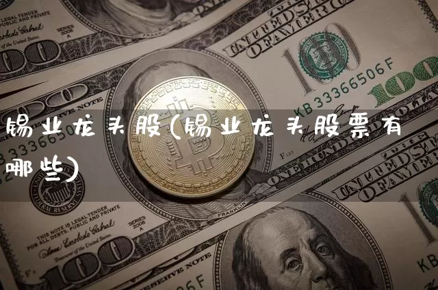 锡业龙头股(锡业龙头股票有哪些)_https://www.qgjzrcxxzxpt.com_大商所_第1张