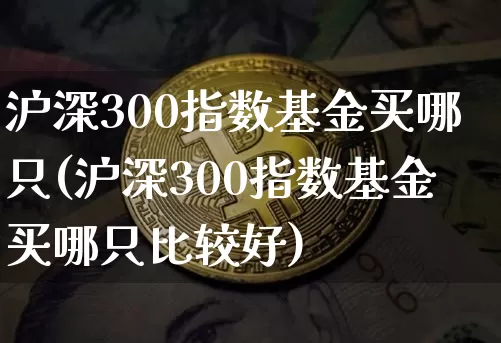 沪深300指数基金买哪只(沪深300指数基金买哪只比较好)_https://www.qgjzrcxxzxpt.com_广期所_第1张