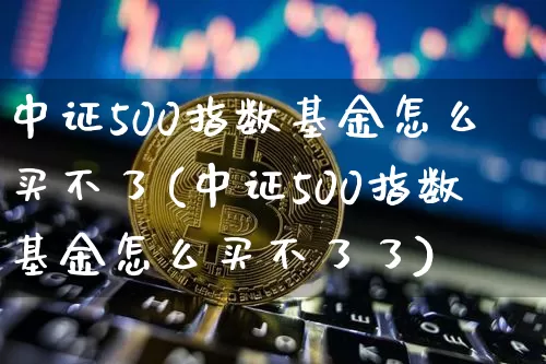 中证500指数基金怎么买不了(中证500指数基金怎么买不了了)_https://www.qgjzrcxxzxpt.com_广期所_第1张