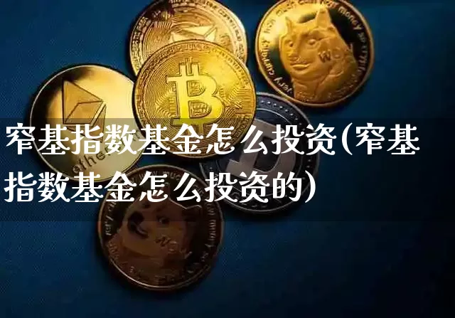 窄基指数基金怎么投资(窄基指数基金怎么投资的)_https://www.qgjzrcxxzxpt.com_大商所_第1张