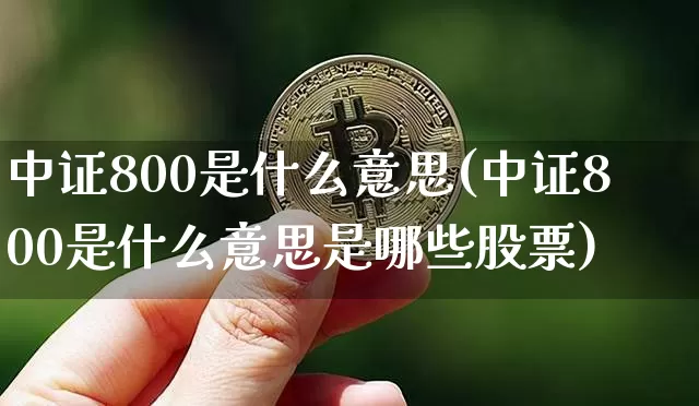 中证800是什么意思(中证800是什么意思是哪些股票)_https://www.qgjzrcxxzxpt.com_广期所_第1张