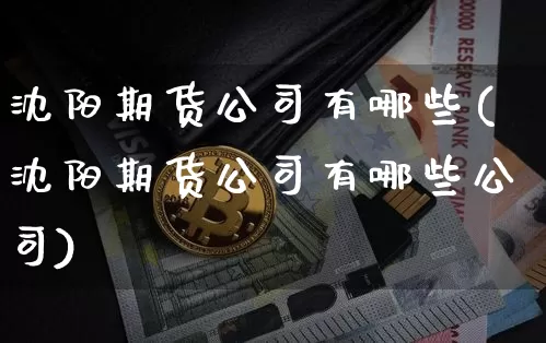 沈阳期货公司有哪些(沈阳期货公司有哪些公司)_https://www.qgjzrcxxzxpt.com_大商所_第1张