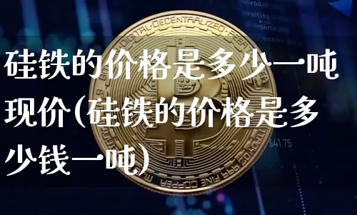 硅铁的价格是多少一吨现价(硅铁的价格是多少钱一吨)_https://www.qgjzrcxxzxpt.com_大商所_第1张