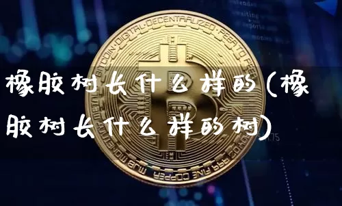 橡胶树长什么样的(橡胶树长什么样的树)_https://www.qgjzrcxxzxpt.com_上期能源_第1张