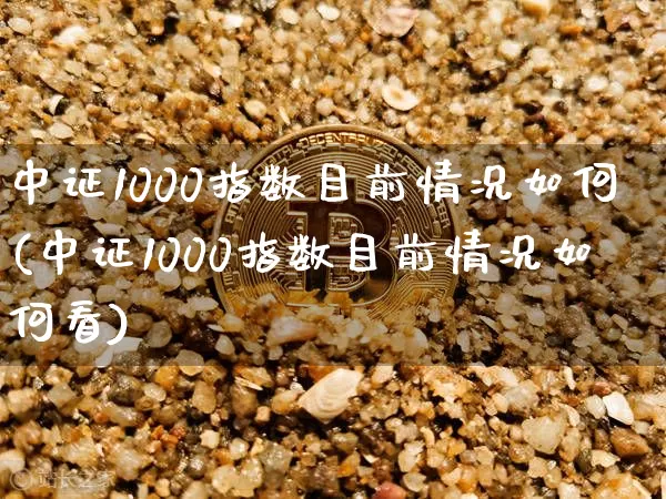 中证1000指数目前情况如何(中证1000指数目前情况如何看)_https://www.qgjzrcxxzxpt.com_广期所_第1张