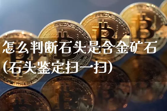 怎么判断石头是含金矿石(石头鉴定扫一扫)_https://www.qgjzrcxxzxpt.com_广期所_第1张