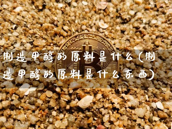 制造甲醇的原料是什么(制造甲醇的原料是什么东西)_https://www.qgjzrcxxzxpt.com_大商所_第1张