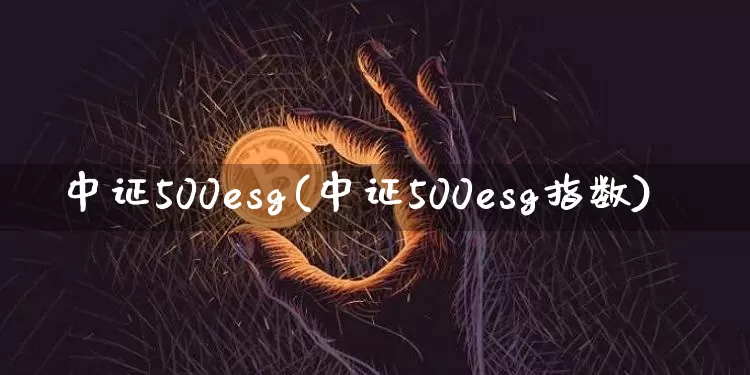 中证500esg(中证500esg指数)_https://www.qgjzrcxxzxpt.com_中金所_第1张