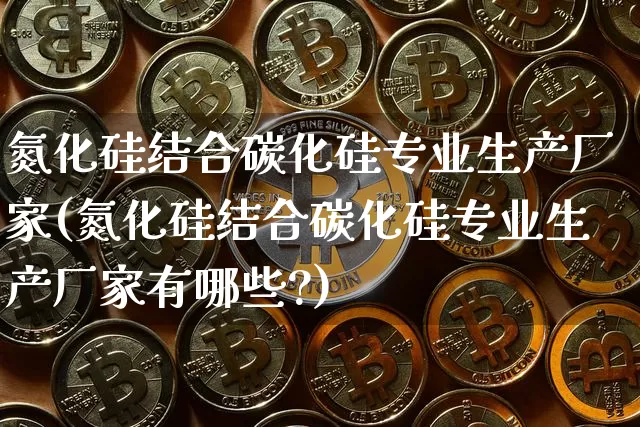 氮化硅结合碳化硅专业生产厂家(氮化硅结合碳化硅专业生产厂家有哪些?)_https://www.qgjzrcxxzxpt.com_郑商所_第1张