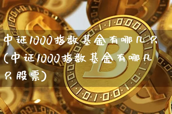 中证1000指数基金有哪几只(中证1000指数基金有哪几只股票)_https://www.qgjzrcxxzxpt.com_上期能源_第1张