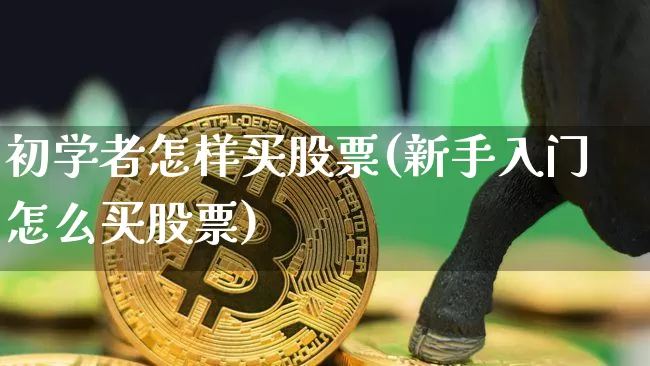 初学者怎样买股票(新手入门怎么买股票)_https://www.qgjzrcxxzxpt.com_大商所_第1张