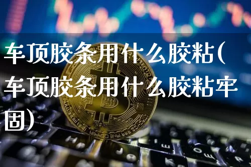 车顶胶条用什么胶粘(车顶胶条用什么胶粘牢固)_https://www.qgjzrcxxzxpt.com_广期所_第1张
