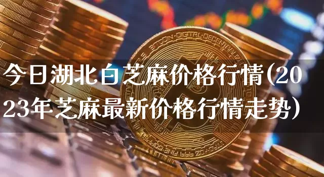 今日湖北白芝麻价格行情(2023年芝麻最新价格行情走势)_https://www.qgjzrcxxzxpt.com_上期能源_第1张
