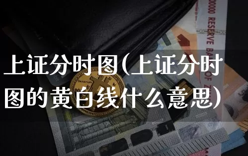 上证分时图(上证分时图的黄白线什么意思)_https://www.qgjzrcxxzxpt.com_中金所_第1张