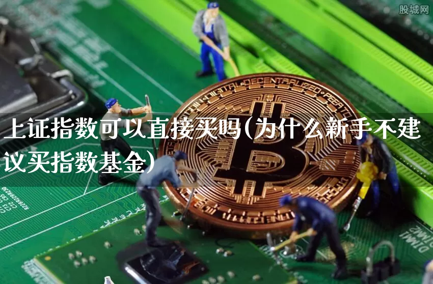 上证指数可以直接买吗(为什么新手不建议买指数基金)_https://www.qgjzrcxxzxpt.com_广期所_第1张