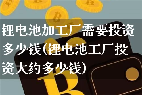 锂电池加工厂需要投资多少钱(锂电池工厂投资大约多少钱)_https://www.qgjzrcxxzxpt.com_上期能源_第1张