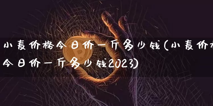 小麦价格今日价一斤多少钱(小麦价格今日价一斤多少钱2023)_郑商所_第1张_财经网 小麦价格今日价一斤多少钱(小麦价格今日价一斤多少钱2023)_https://www.qgjzrcxxzxpt.com_郑商所_第1张