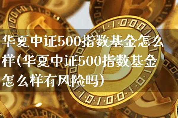 华夏中证500指数基金怎么样(华夏中证500指数基金怎么样有风险吗)_https://www.qgjzrcxxzxpt.com_上期所_第1张