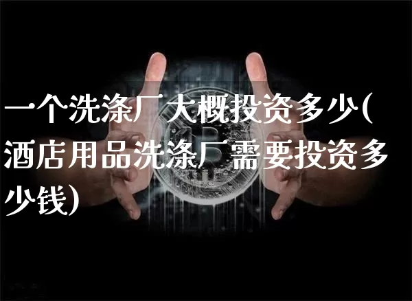 一个洗涤厂大概投资多少(酒店用品洗涤厂需要投资多少钱)_https://www.qgjzrcxxzxpt.com_郑商所_第1张