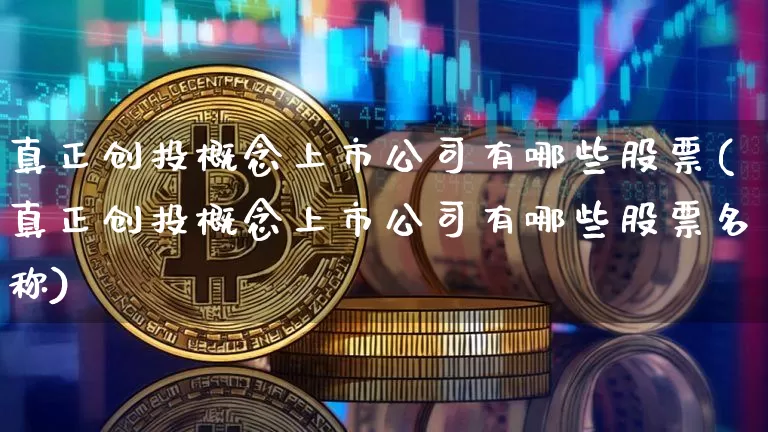 真正创投概念上市公司有哪些股票(真正创投概念上市公司有哪些股票名称)_https://www.qgjzrcxxzxpt.com_广期所_第1张