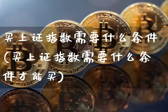 买上证指数需要什么条件(买上证指数需要什么条件才能买)_https://www.qgjzrcxxzxpt.com_上期能源_第1张