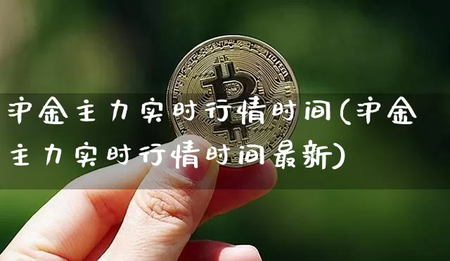 沪金主力实时行情时间(沪金主力实时行情时间最新)_https://www.qgjzrcxxzxpt.com_郑商所_第1张